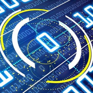 Data Type Enforcement