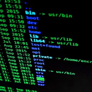 Flowcharting or Pseudocode