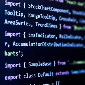 Input/Output Logging